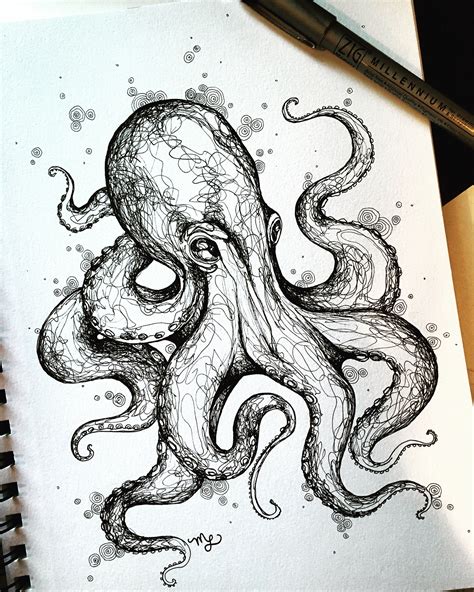 octopus drawing images|realistic drawing of a octopus.